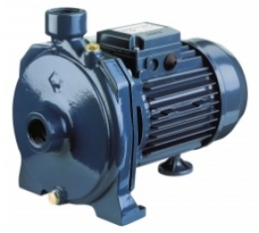 CMB 5.50T bơm ebara 